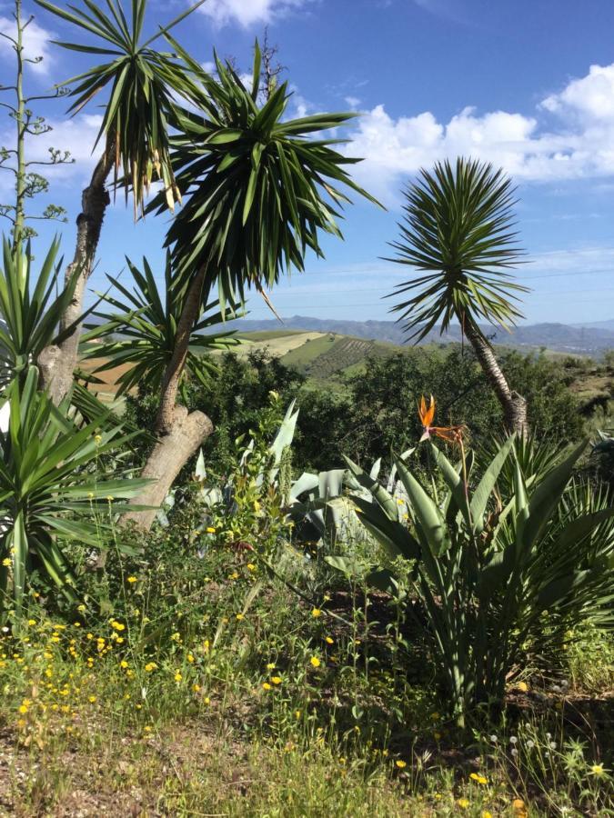 Cortijo Las Palmeras El Chorro Álora Exterior foto